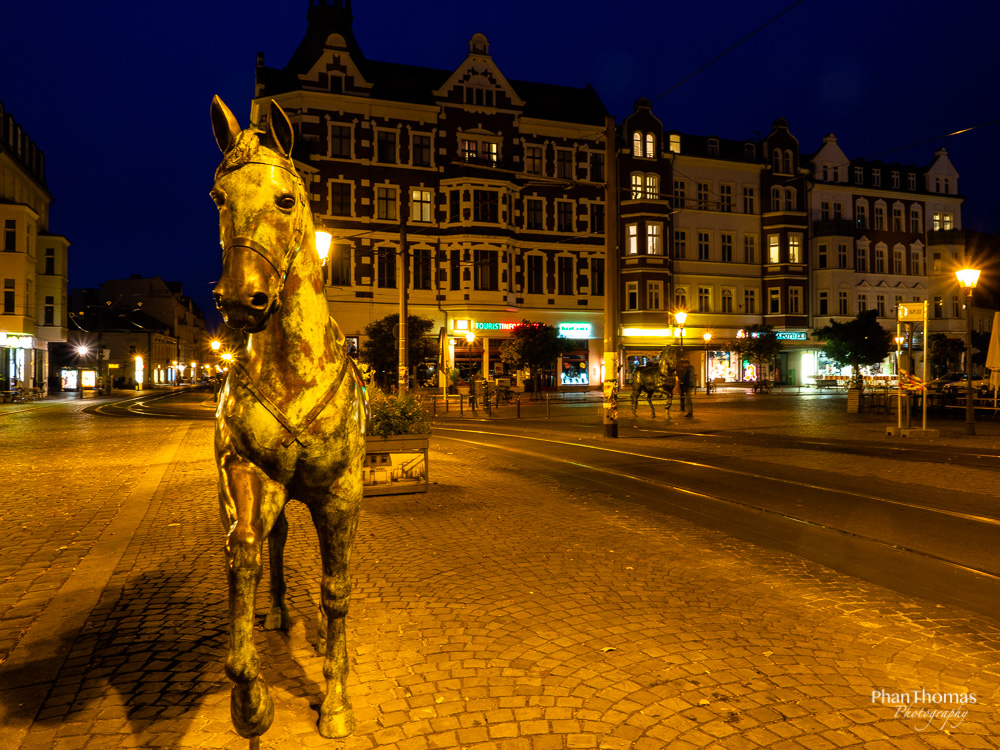 Blaue Stunde: Einer vom Pferd