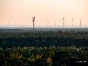 Baumkronenpfad: Windräder