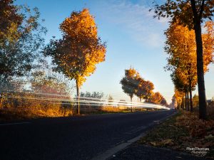Herbstfotografie: Lichtmalerei