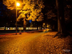 Altstadt Köpenick: Langzeitbelichtung im Park