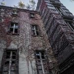 Beelitz-Heilstätten: Rückeroberung durch die Natur