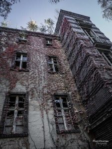 Beelitz-Heilstätten: Rückeroberung durch die Natur
