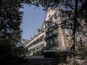 Beelitz-Heilstätten: Rahmende Vegetation