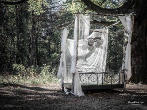 Beelitz-Heilstätten: Ein Bett im ... äh, Wald?