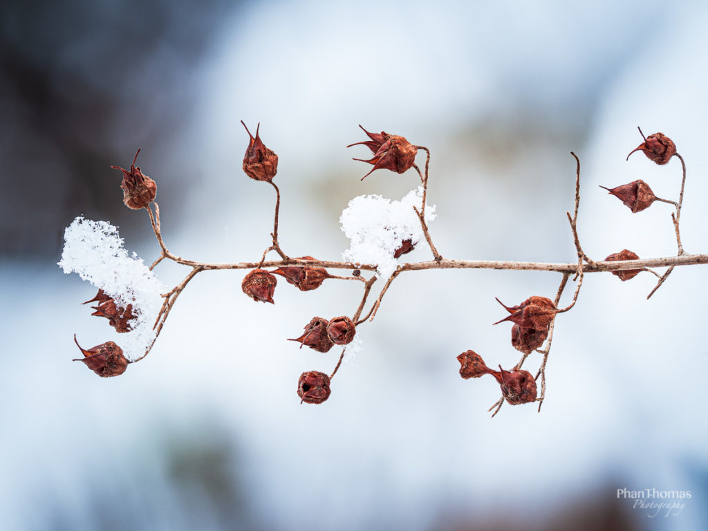 Schnee oder Badeschaum?