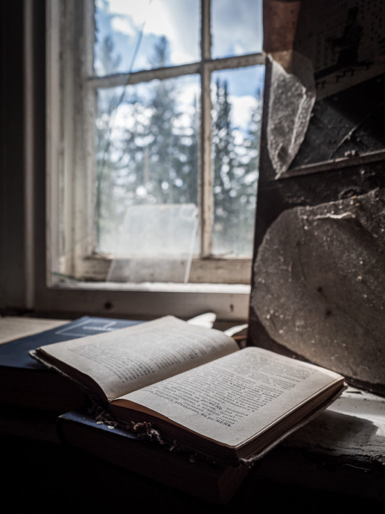 Buch am Fenster