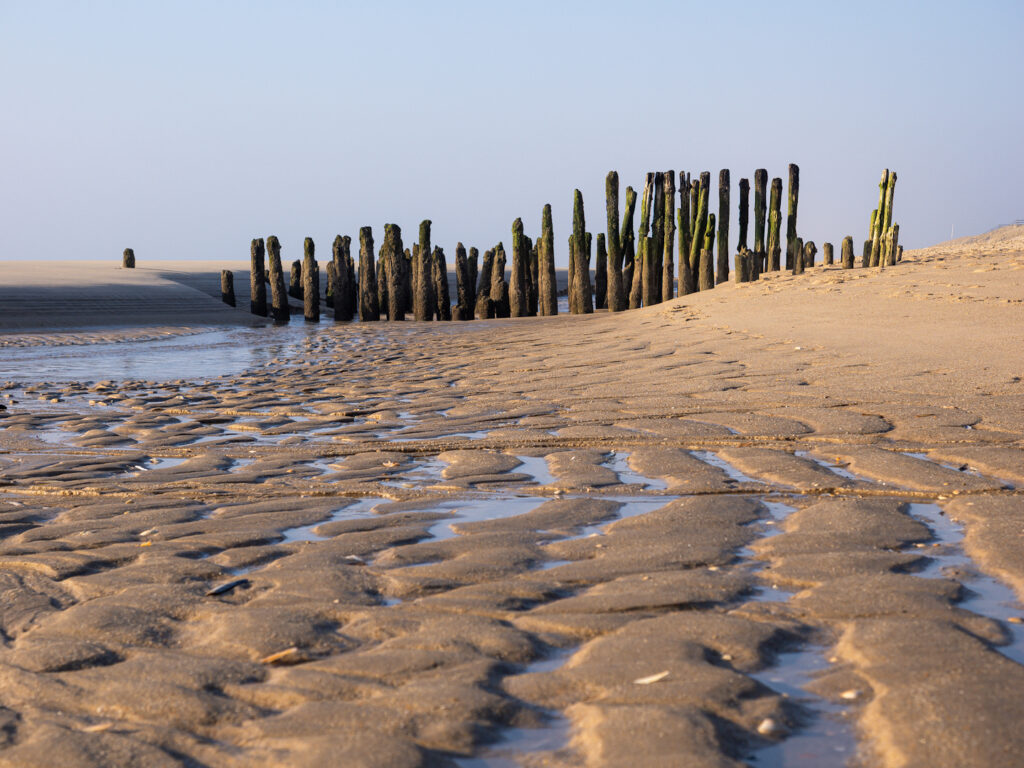 Nordseestrand bei Ebbe
