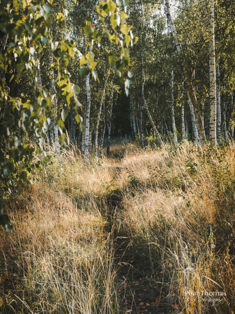Ausflug in die Natur